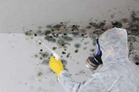 Best Mold Removal for HVAC Installations in Kootenai, ID